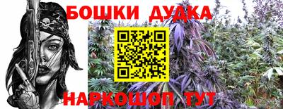 МДПВ Апшеронск