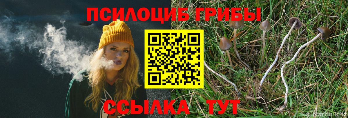 Псилоцибиновые грибы Magic Shrooms  Вход с VPN  Верхняя Пышма 